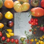 Scheiber Bürgerverein: Einladung zur Tomatenverkostung